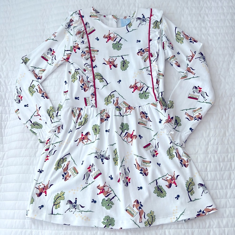 NWT! Bella Bliss Long Sleeve Pima Louise Dress in Paddock Print